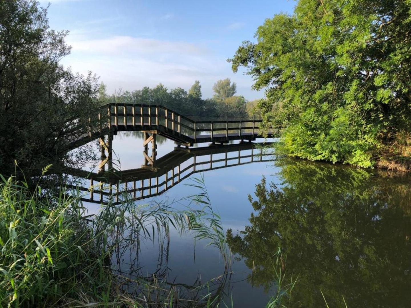 Вілла Bungalow 68 Op Recreatiepark De Wielen Сінт-Мартен Екстер'єр фото